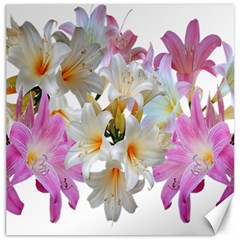 Lilies Belladonna Easter Lilies Canvas 20  X 20  by Simbadda