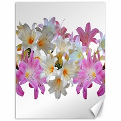 Lilies Belladonna Easter Lilies Canvas 18  X 24  by Simbadda