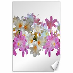 Lilies Belladonna Easter Lilies Canvas 24  X 36  by Simbadda