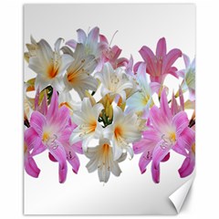 Lilies Belladonna Easter Lilies Canvas 11  X 14  by Simbadda