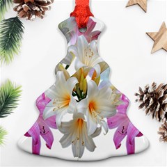 Lilies Belladonna Easter Lilies Ornament (christmas Tree)  by Simbadda