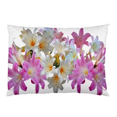 Lilies Belladonna Easter Lilies Pillow Case (two Sides) by Simbadda