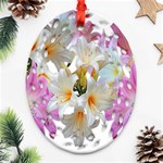 Lilies Belladonna Easter Lilies Oval Filigree Ornament (Two Sides) Front