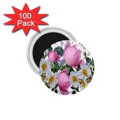 Flowers Roses Pink White Blooms 1 75  Magnets (100 Pack)  by Simbadda