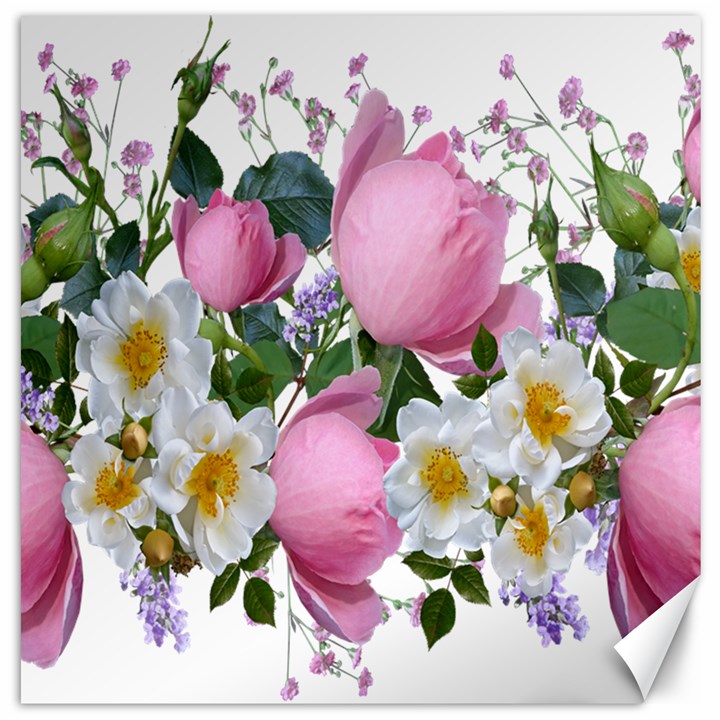 Flowers Roses Pink White Blooms Canvas 20  x 20 