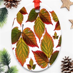 Leaves Autumn Fall Colorful Ornament (oval) by Simbadda