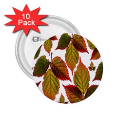 Leaves Autumn Fall Colorful 2 25  Buttons (10 Pack)  by Simbadda