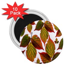 Leaves Autumn Fall Colorful 2 25  Magnets (10 Pack)  by Simbadda