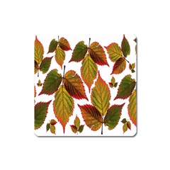 Leaves Autumn Fall Colorful Square Magnet by Simbadda