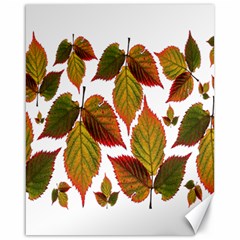 Leaves Autumn Fall Colorful Canvas 16  X 20  by Simbadda