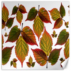 Leaves Autumn Fall Colorful Canvas 20  X 20  by Simbadda