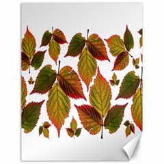 Leaves Autumn Fall Colorful Canvas 18  X 24  by Simbadda