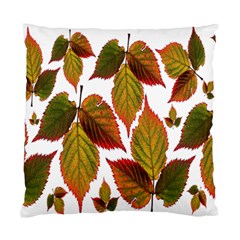 Leaves Autumn Fall Colorful Standard Cushion Case (one Side) by Simbadda