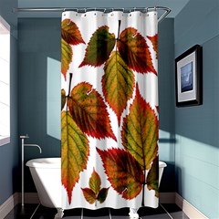 Leaves Autumn Fall Colorful Shower Curtain 36  X 72  (stall)  by Simbadda