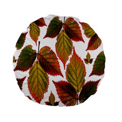 Leaves Autumn Fall Colorful Standard 15  Premium Round Cushions