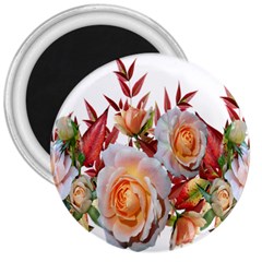 Roses Flowers Leaves Nandina 3  Magnets by Simbadda