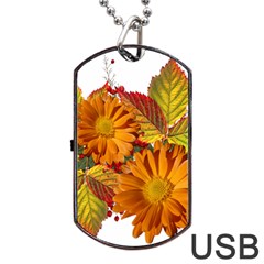 Flowers Arrangement Autumn Daisies Dog Tag Usb Flash (two Sides) by Simbadda