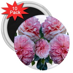 Roses Pink Flowers Arrangement 3  Magnets (10 Pack)  by Simbadda