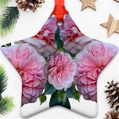 Roses Pink Flowers Arrangement Star Ornament (two Sides) by Simbadda