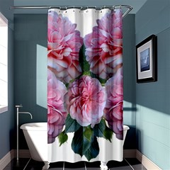 Roses Pink Flowers Arrangement Shower Curtain 36  X 72  (stall)  by Simbadda