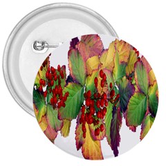 Leaves Autumn Berries Garden 3  Buttons by Simbadda