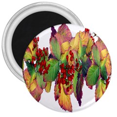 Leaves Autumn Berries Garden 3  Magnets by Simbadda