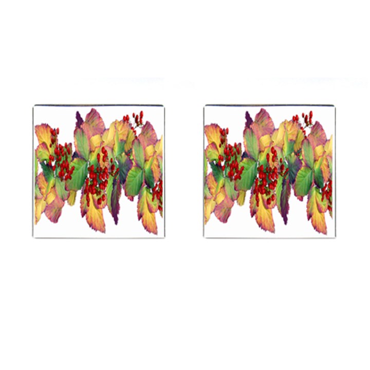 Leaves Autumn Berries Garden Cufflinks (Square)