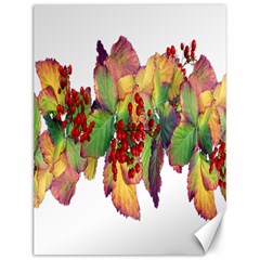 Leaves Autumn Berries Garden Canvas 12  X 16  by Simbadda