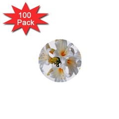 Lilies White Belladonna 1  Mini Buttons (100 Pack)  by Simbadda