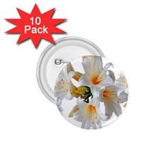 Lilies White Belladonna 1 75  Buttons (10 Pack) by Simbadda