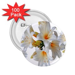 Lilies White Belladonna 2 25  Buttons (100 Pack)  by Simbadda