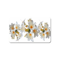 Lilies White Belladonna Magnet (name Card) by Simbadda