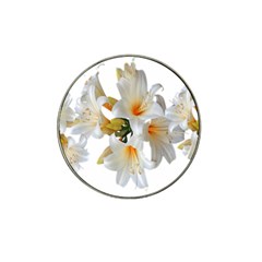 Lilies White Belladonna Hat Clip Ball Marker (4 Pack) by Simbadda