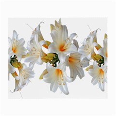 Lilies White Belladonna Small Glasses Cloth by Simbadda