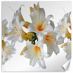 Lilies White Belladonna Canvas 20  X 20  by Simbadda