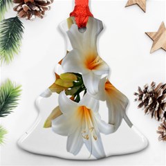 Lilies White Belladonna Christmas Tree Ornament (two Sides) by Simbadda