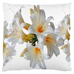 Lilies White Belladonna Standard Flano Cushion Case (two Sides) by Simbadda