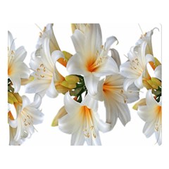 Lilies White Belladonna Double Sided Flano Blanket (large)  by Simbadda