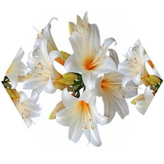 Lilies White Belladonna Wooden Puzzle Hexagon by Simbadda