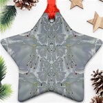 Silky Flowers From The Bohemian Paradise  In Time Ornament (Star) Front