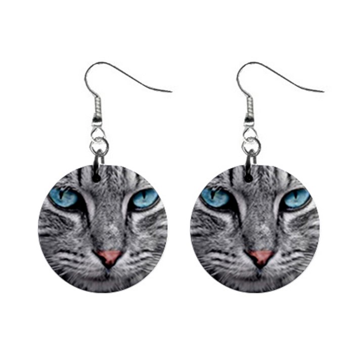 Cat Animal Cat Portrait Mackerel Mini Button Earrings