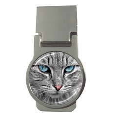 Cat Animal Cat Portrait Mackerel Money Clips (round)  by Sudhe