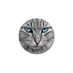 Cat Animal Cat Portrait Mackerel Golf Ball Marker (4 Pack) by Sudhe