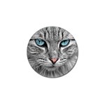 Cat Animal Cat Portrait Mackerel Golf Ball Marker (4 pack) Front