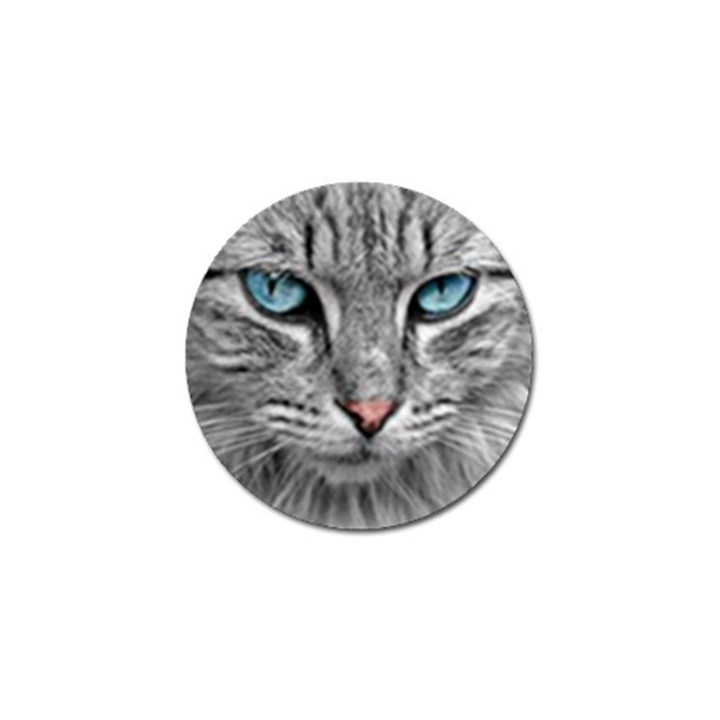 Cat Animal Cat Portrait Mackerel Golf Ball Marker (4 pack)