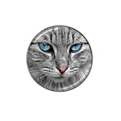 Cat Animal Cat Portrait Mackerel Hat Clip Ball Marker by Sudhe