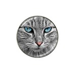 Cat Animal Cat Portrait Mackerel Hat Clip Ball Marker Front