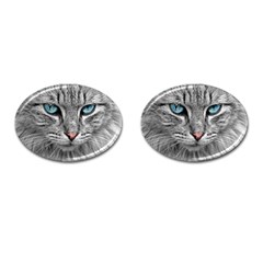 Cat Animal Cat Portrait Mackerel Cufflinks (oval) by Sudhe