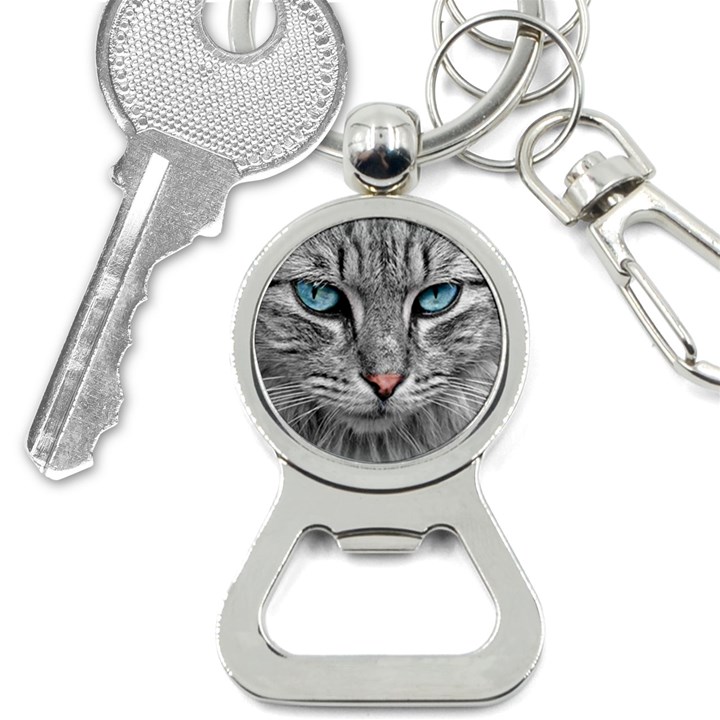 Cat Animal Cat Portrait Mackerel Bottle Opener Key Chain