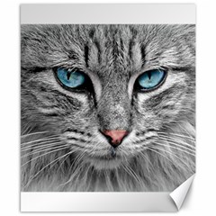 Cat Animal Cat Portrait Mackerel Canvas 8  X 10  by Sudhe